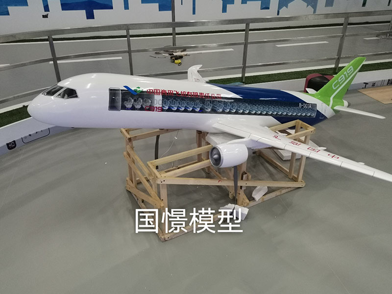 白朗县飞机模型
