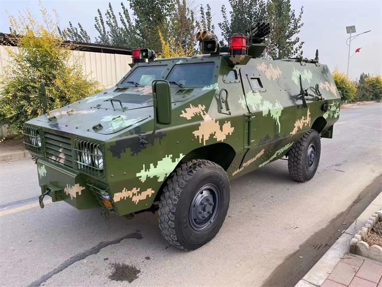 白朗县军事模型